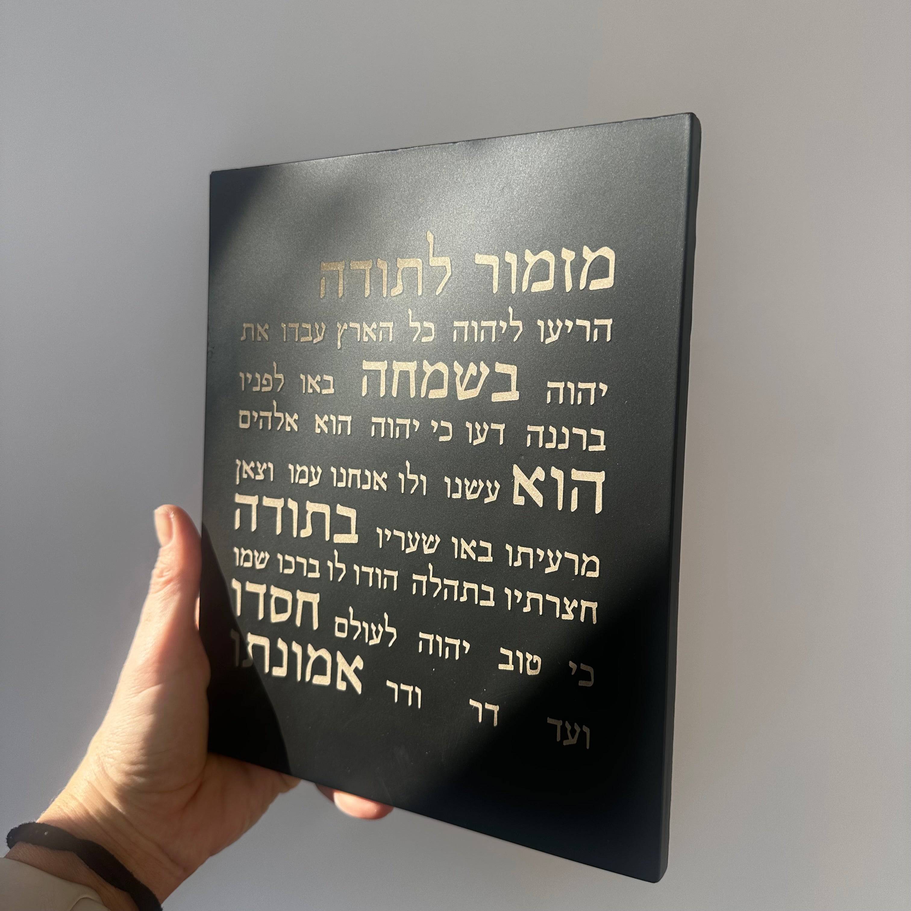 תמונה ממוזערת 2