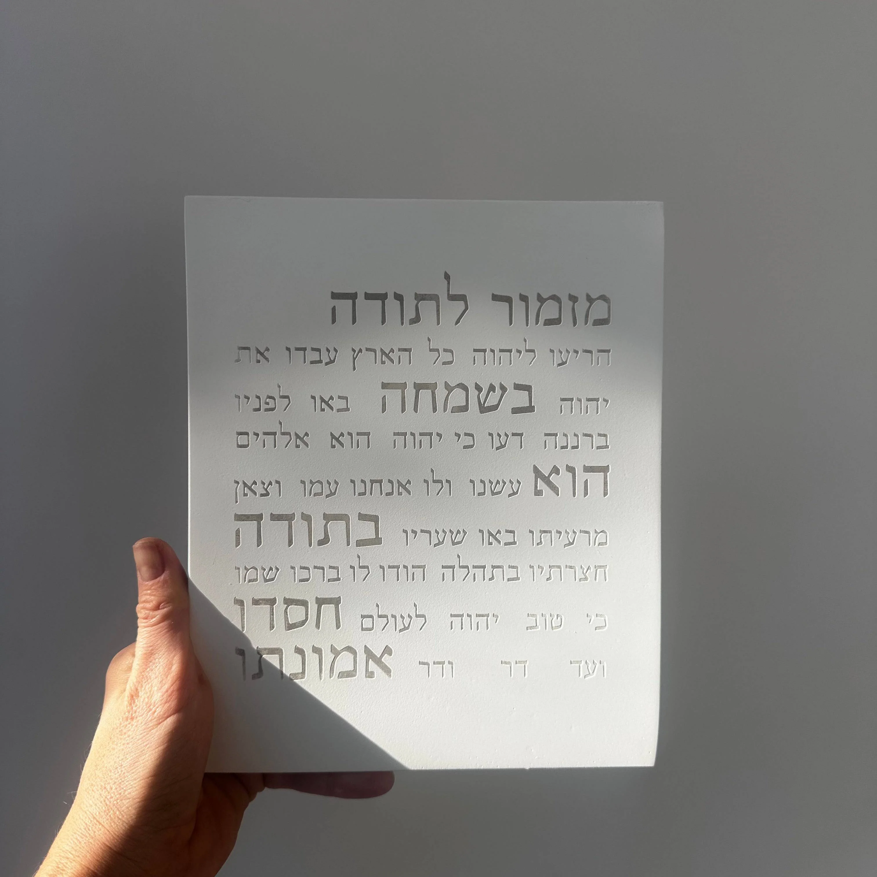 תמונה ממוזערת 2
