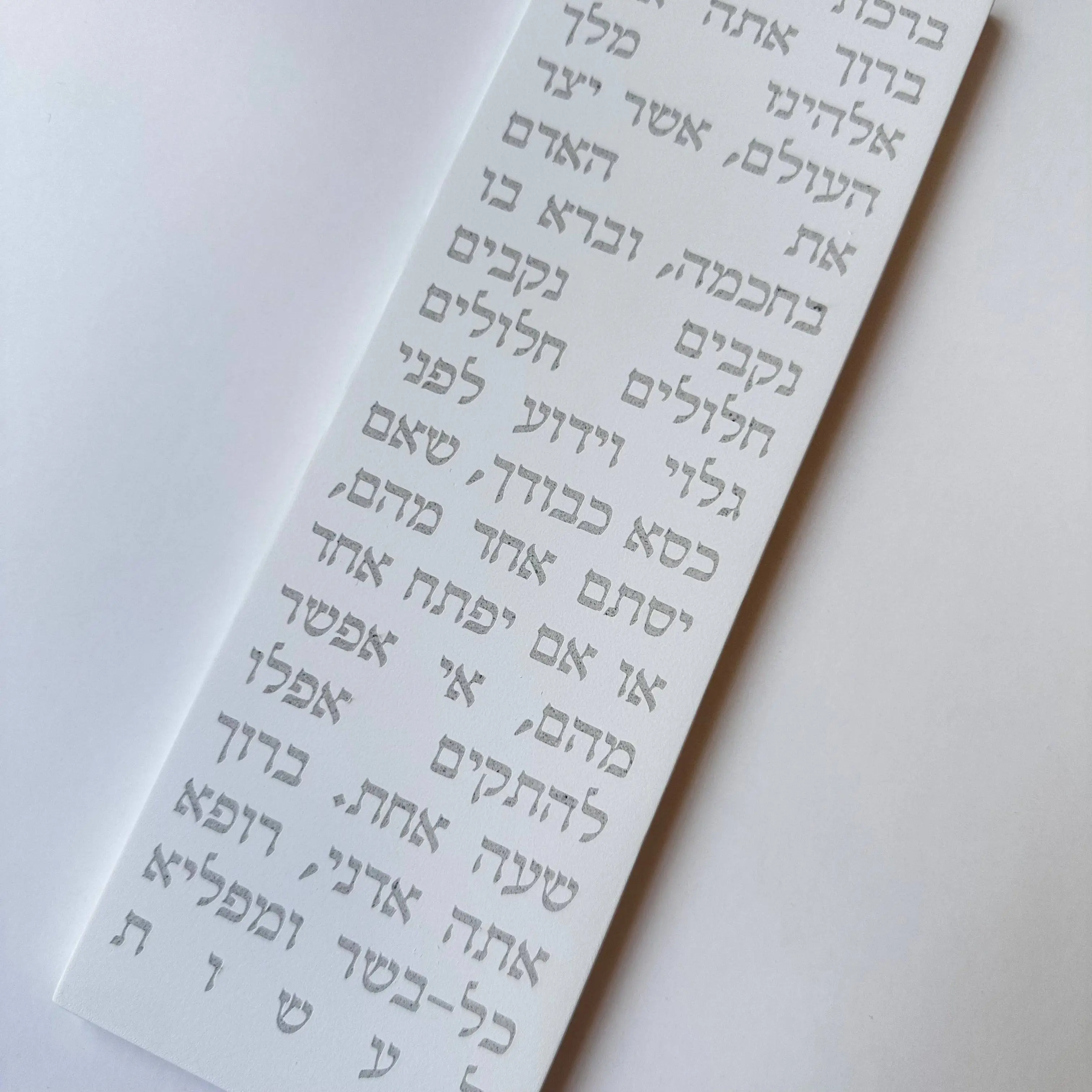 תמונה ממוזערת 2