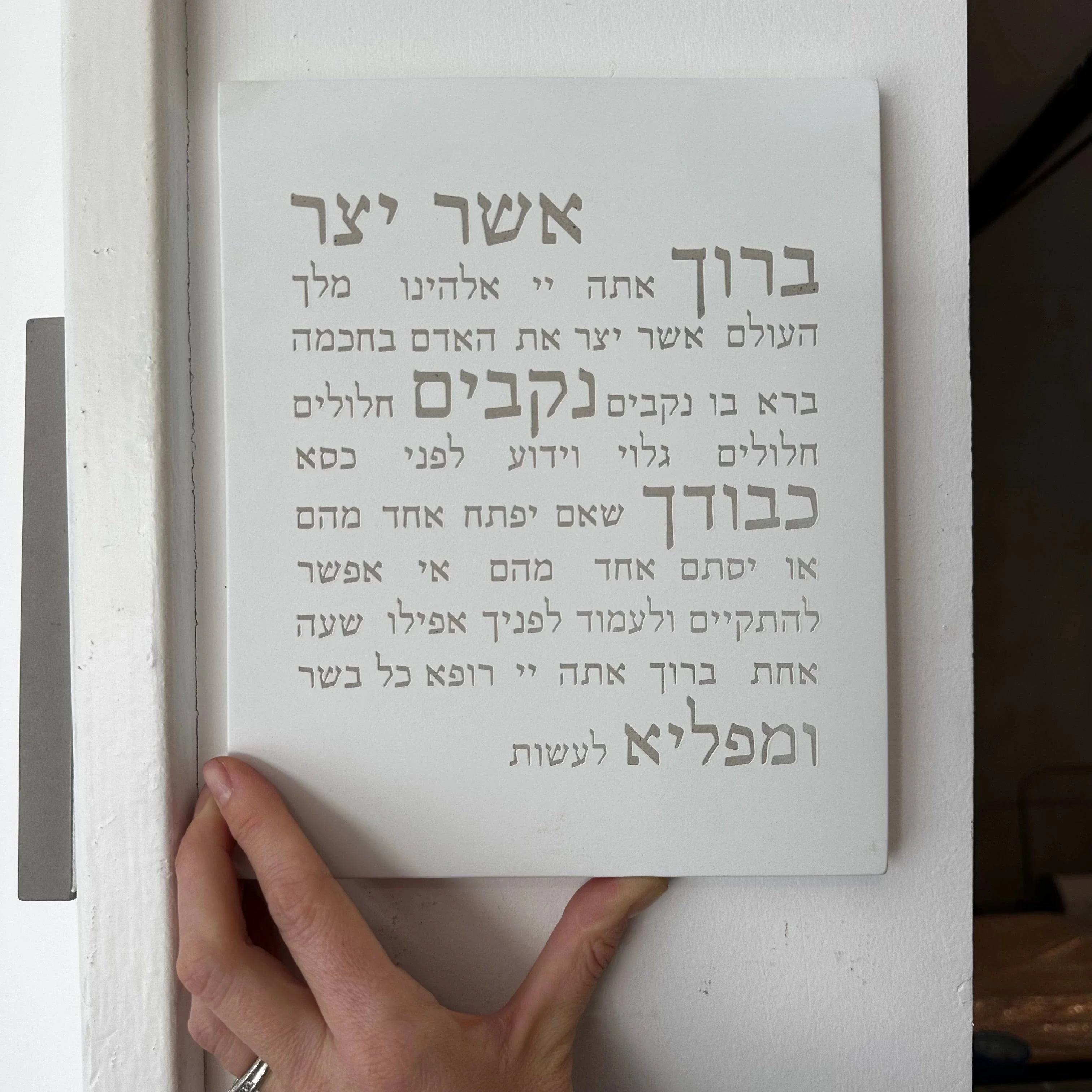 תמונה ממוזערת 2