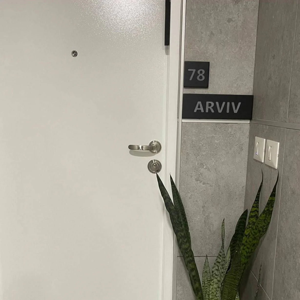 תמונת מוצר 5